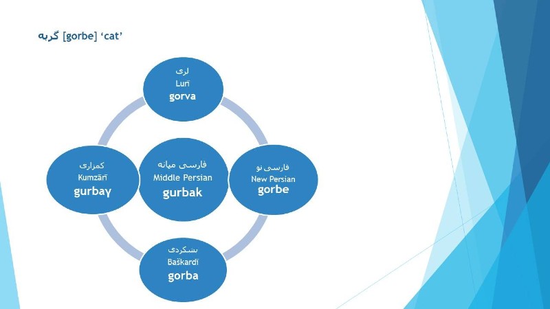 Persian GORBE (cat) in Iranian dialects